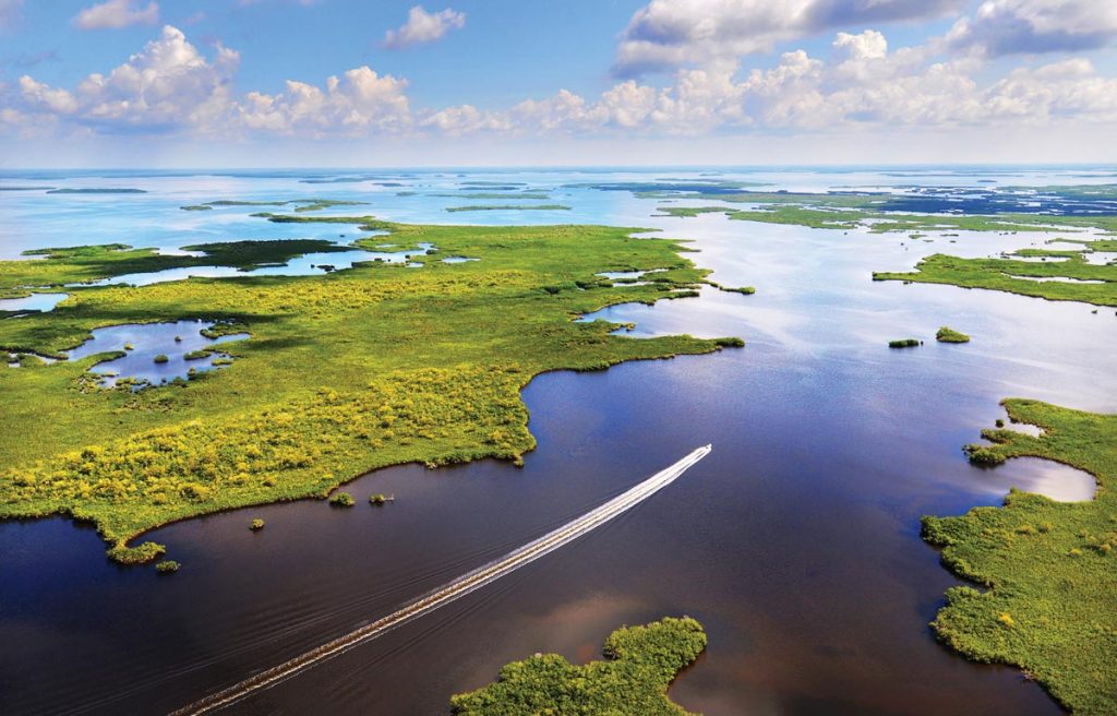 Florida Everglades. Photo by Patrick Farrell and Peter W. Cross/Visit Florida