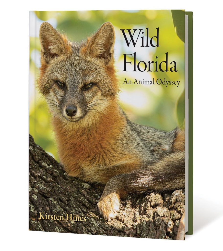 Wild Florida: An Animal Odyssey (University of Florida Press, $42), Kirsten Hines