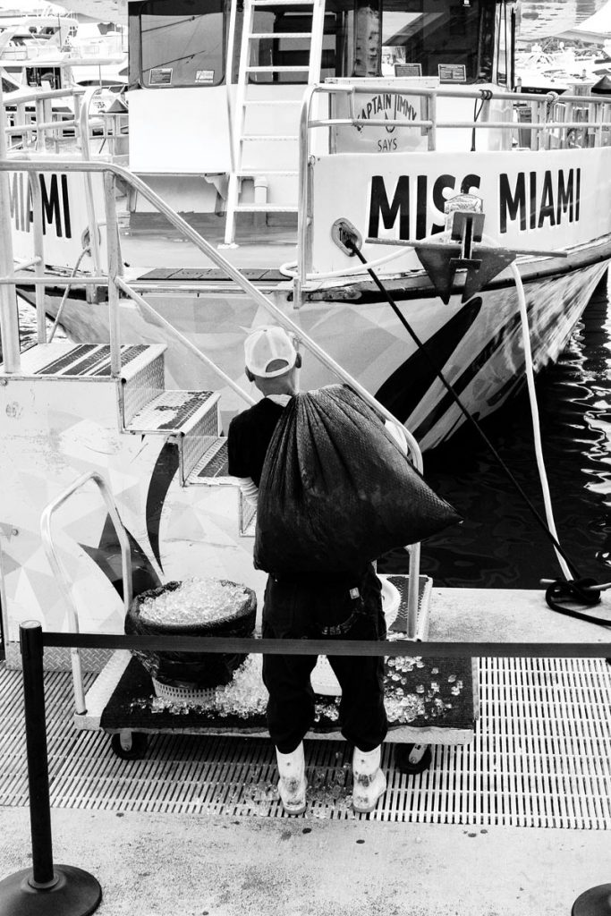 Gone Fishin’. Photo by Fadil Inceoglu
