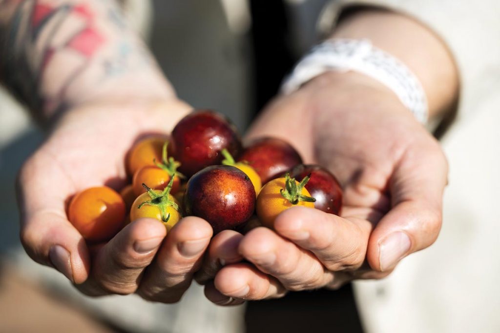 Ford holding some newly harvested heirloom tomatoes. Photo by Steven Martine