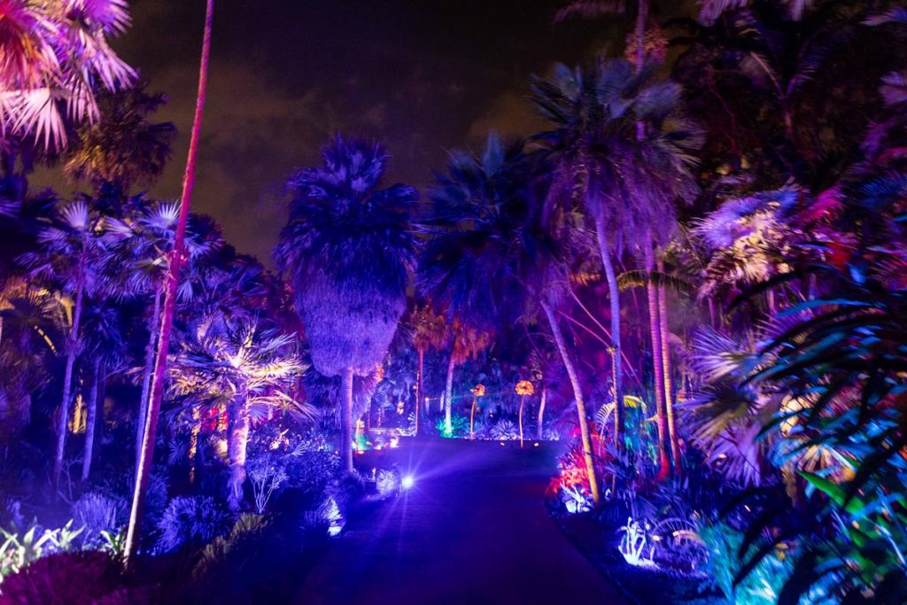 NightGarden is open now through January 11. Photo by WorldRedEye