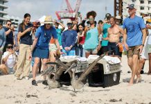 Celebrate World Oceans Day in Miami Photo courtesy of World Ocean Celebration