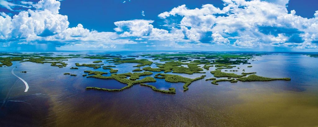 Go flats fishing in the Ten Thousand Islands. Photo courtesy of iStock