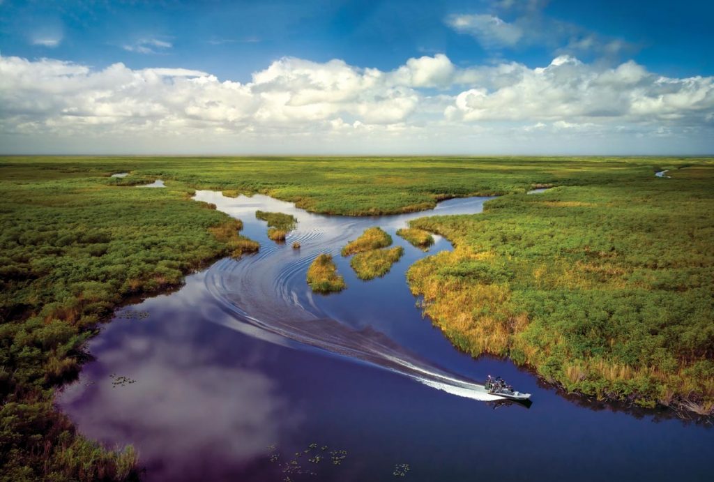 Ride through the Everglades on an airboat. Photo by OcuDrone Aerial Landscape Photography/courtesy of iStock