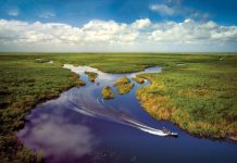 The Florida 20: Must-Do Sunshine State Staples Ride through the Everglades on an airboat. Photo by OcuDrone Aerial Landscape Photography/courtesy of iStock
